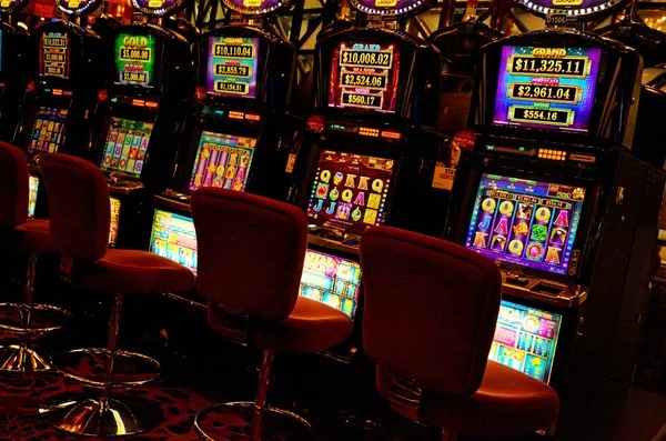 ওয়েস্ট হান্টার বিঙ্গো